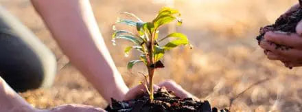 FireAngel’s commitment to a greener future...